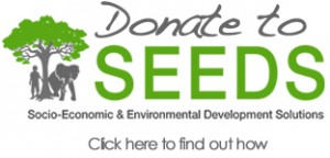 donate-to-seeds